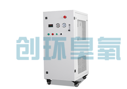 阳原石斑鱼养殖水质调控完整指南：臭氧发生器配置与操作步骤