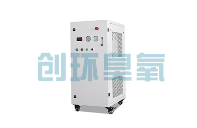 阳原比传统换水更高效？臭氧发生器在石斑鱼养殖中的水质净化原理解析