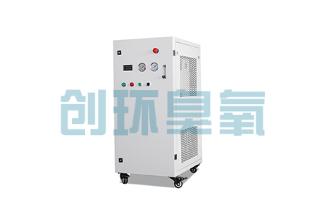 阳原比传统换水更高效?臭氧发生器在石斑鱼养殖中的水质净化原理解析